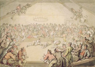 The Dog Fight by Thomas Rowlandson
